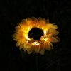 Sunflower Garden Solar Light Decoration for Outdoor Backyard Patio Porch 26 Inches - Sunflower