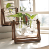 Hot selling table vase water planting glass flower vase with wooden frame home decor creative modern glass vase - A bottle