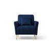 Velvet Accent Chair Round Arm Chair with Gold Legs; Upholstered Single Sofa for Living Room Bedroom; Navy Blue with 1 Throw Pillow - as pic